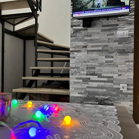 Apartment Snjezna Kuca Rakovac